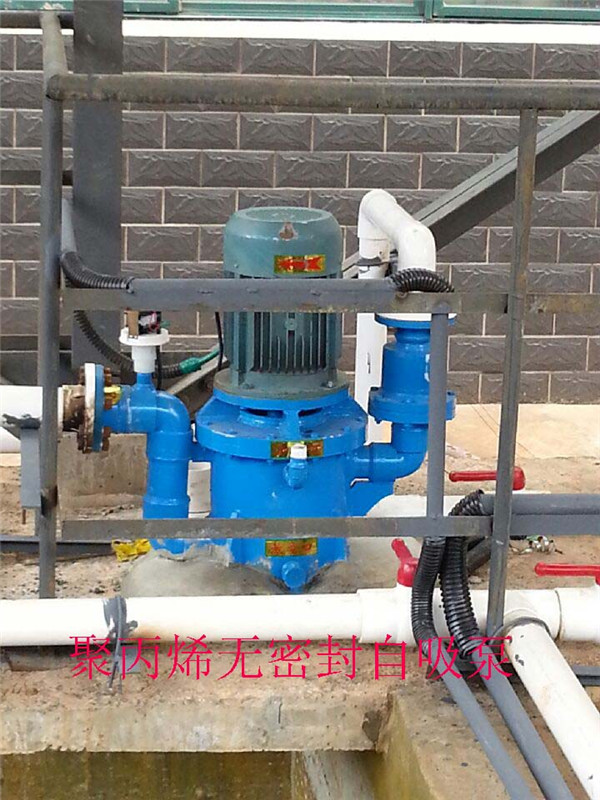 聚丙烯無(wú)密封自吸泵